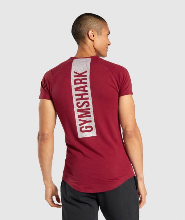 Panske Tricka Gymshark Bold Bordove | EJ2038945